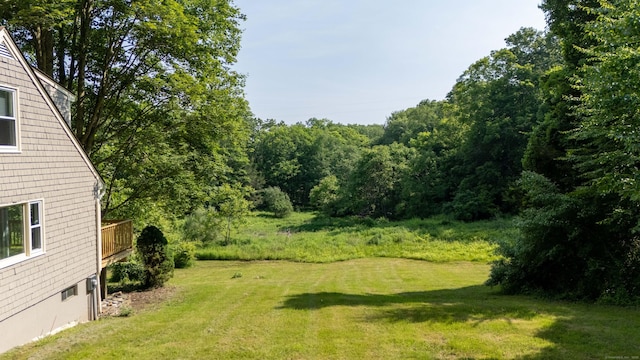 143 Clark Hill Rd, East Haddam, CT 06423 - view of grassy yard featuring a view of trees