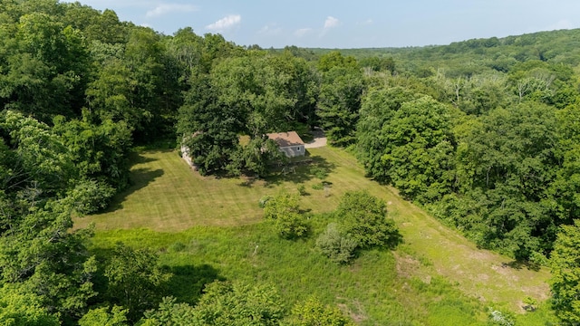 143 Clark Hill Rd, East Haddam, CT 06423 - view of subject property with a heavily wooded area