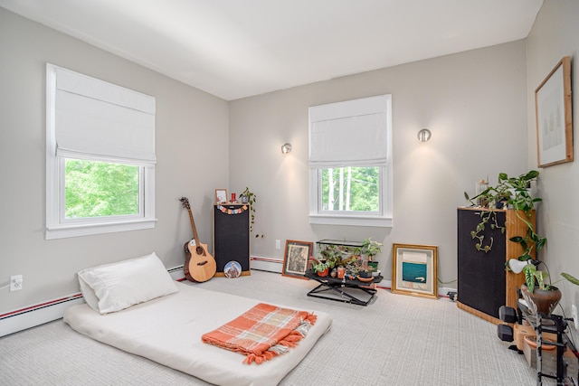 113 Toddy Hill Rd, Newtown, CT 06482 - bedroom with multiple windows, carpet, and baseboard heating