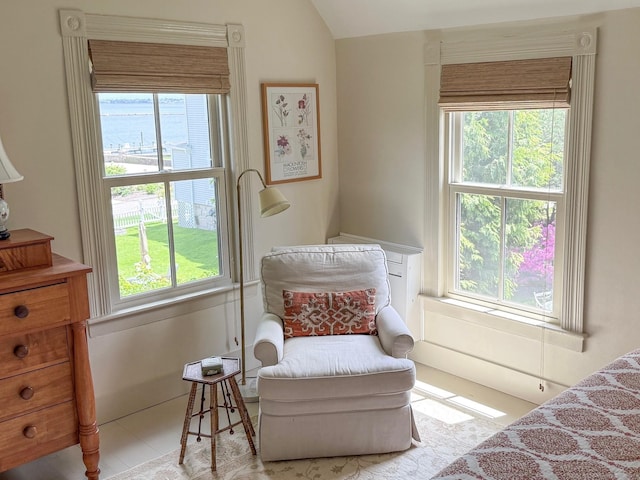 37 Orchard St, Stonington, CT 06378 - bedroom with multiple windows and vaulted ceiling