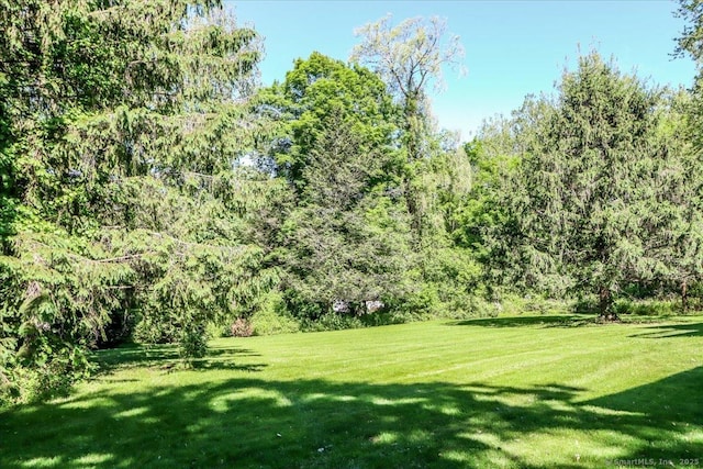 8 Prospect Ct, Brookfield, CT 06804 - view of green lawn with a forest view