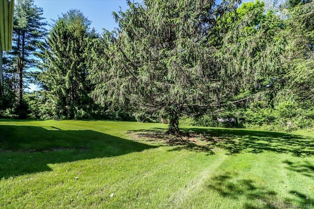8 Prospect Ct, Brookfield, CT 06804 - view of green lawn