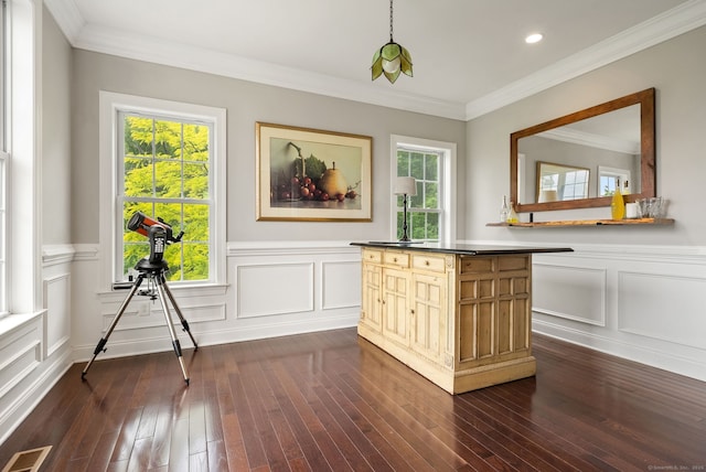 100 Pembroke Ter, Glastonbury, CT 06033 - bar with dark wood-type flooring, a decorative wall, ornamental molding, wainscoting, and plenty of natural light