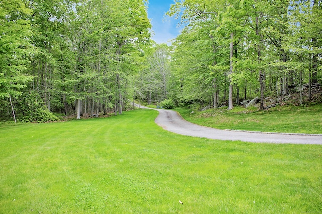 15 Surrey Ridge Rd, Killingworth, CT 06419 - view of asphalt road