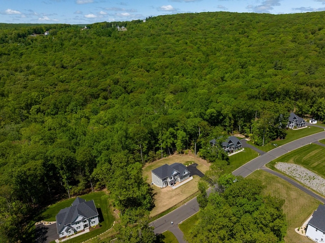 81 Nelson Dr, Burlington, CT 06013 - bird's eye view of a forest