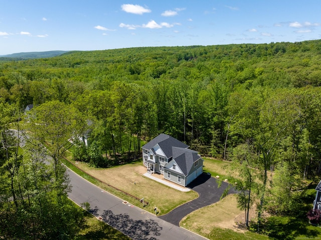 81 Nelson Dr, Burlington, CT 06013 - view of subject property featuring a heavily wooded area