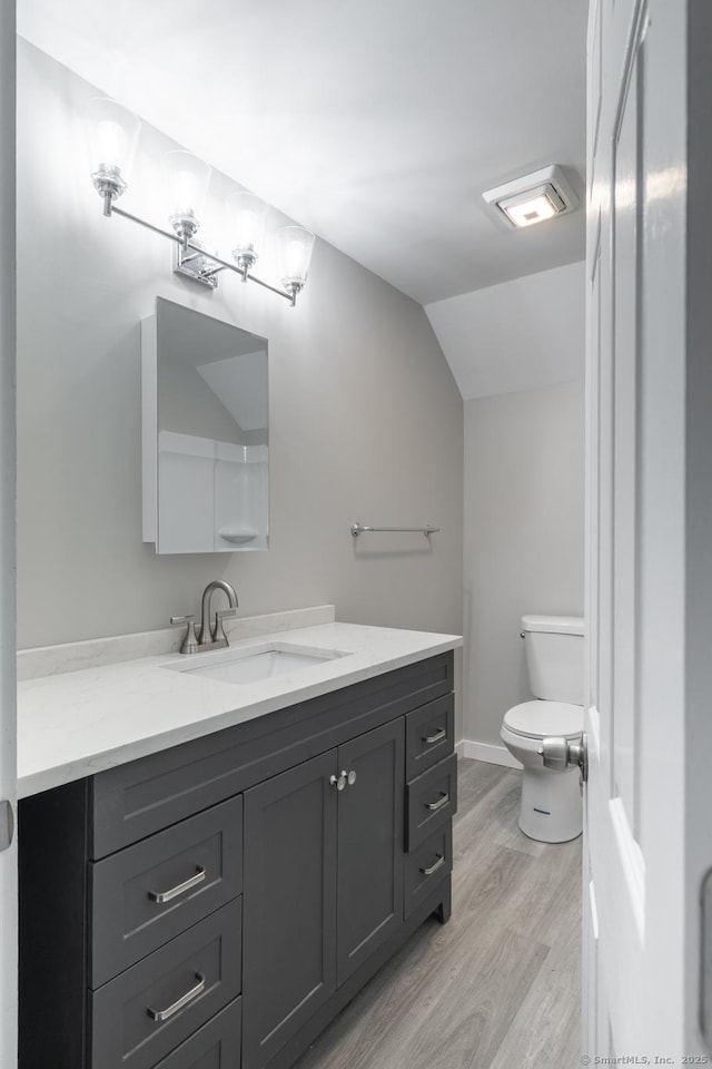 33 Prince St, Bristol, CT 06010 - bathroom with wood finished floors, toilet, lofted ceiling, and vanity