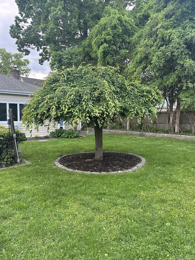 16 Neponsit St, Stamford, CT 06902 - view of yard