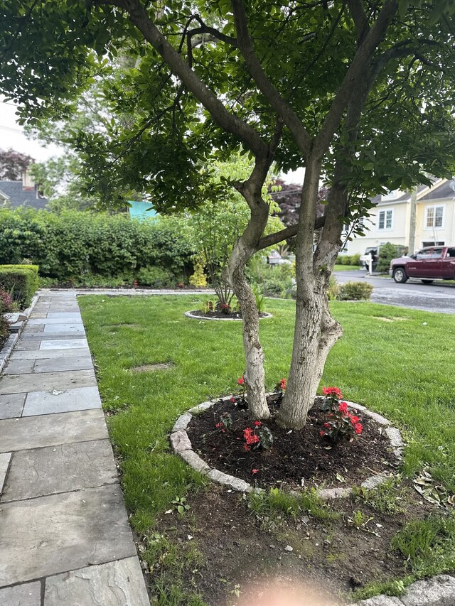 16 Neponsit St, Stamford, CT 06902 - view of grassy yard