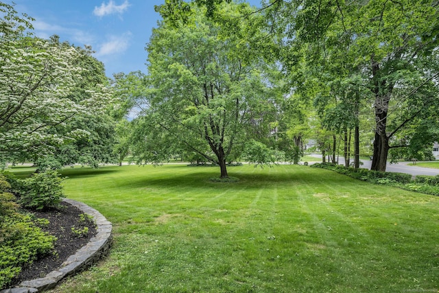30 Meeting House Ln, Madison, CT 06443 - view of green lawn