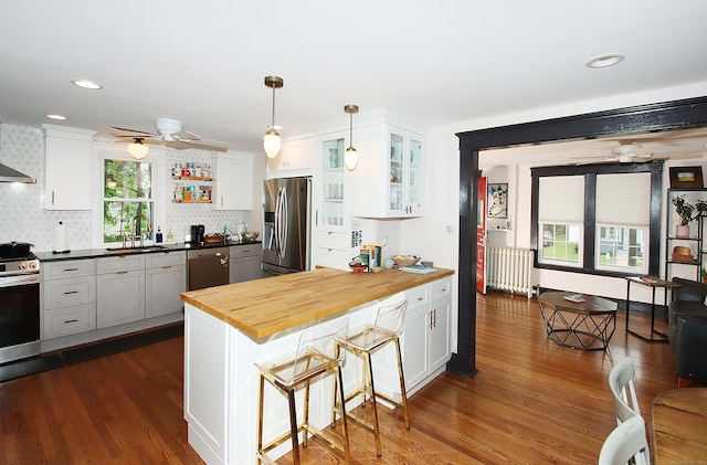 62 Mather St, Manchester, CT 06042 - kitchen featuring appliances with stainless steel finishes, radiator, a sink, a ceiling fan, and butcher block counters