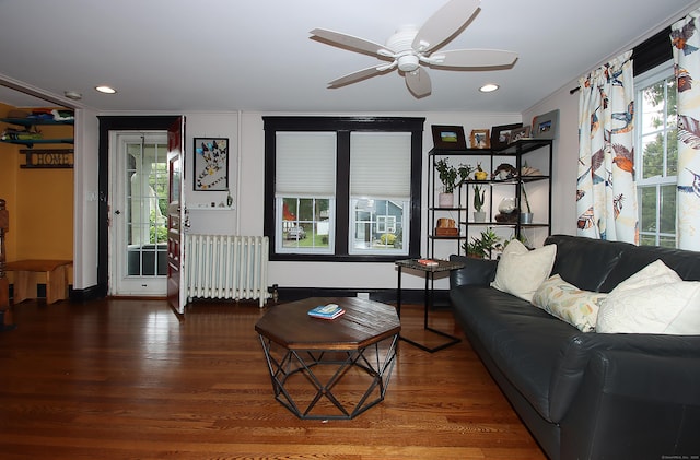 62 Mather St, Manchester, CT 06042 - living room featuring radiator heating unit, ceiling fan, wood finished floors, healthy amount of natural light, and crown molding