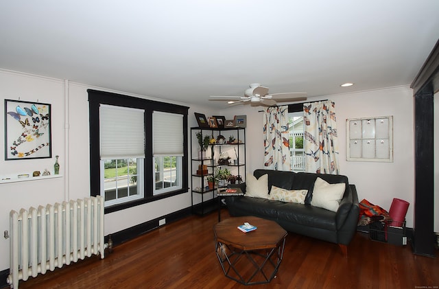 62 Mather St, Manchester, CT 06042 - living area featuring radiator heating unit, crown molding, wood finished floors, a ceiling fan, and baseboards