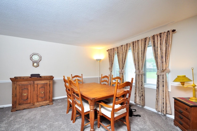 443 S Main St Unit 34, Manchester, CT 06040 - dining room with carpet flooring, a textured ceiling, and baseboards