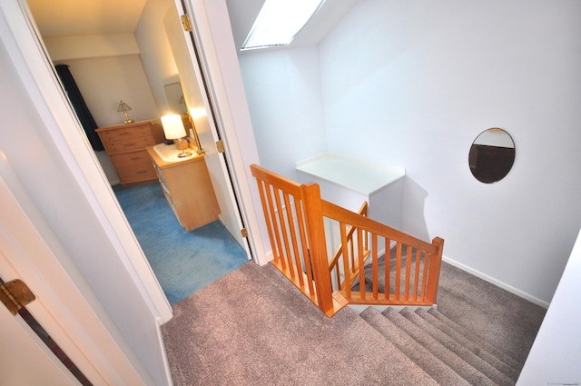 443 S Main St Unit 34, Manchester, CT 06040 - stairs with carpet floors, baseboards, and a skylight