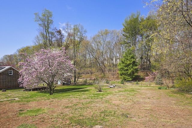870 N Colony Rd, Meriden, CT 06450 - view of green lawn