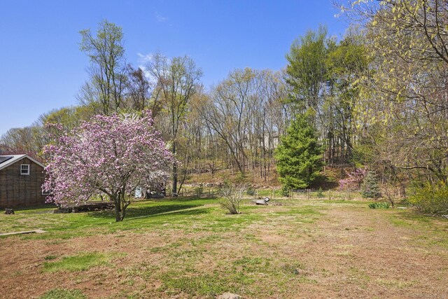 870 N Colony Rd, Meriden, CT 06450 - view of green lawn