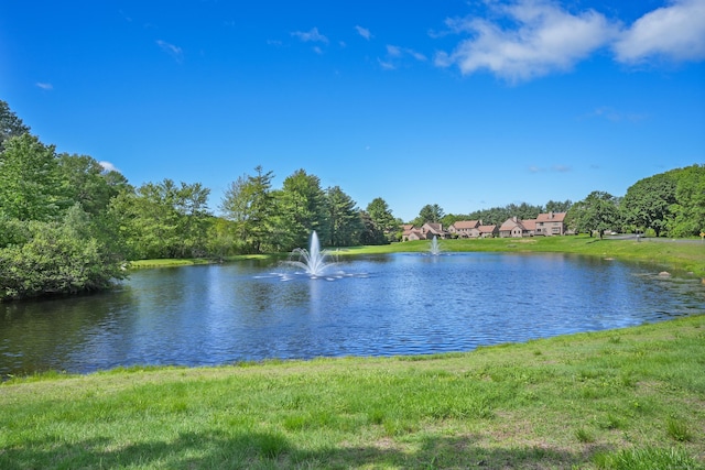17 Hollow Tree Ln Unit 17, Monroe, CT 06468 - water view