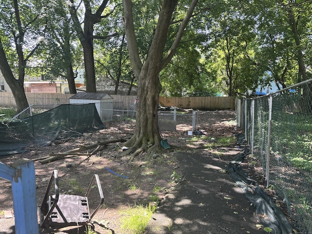 14 Judson Ave, New Haven, CT 06511 - view of fenced backyard