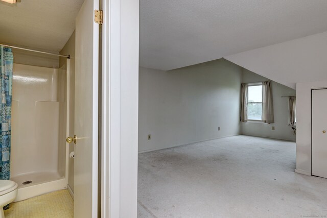 74 Quarry Dock Rd Unit 74, Branford, CT 06405 - additional living space featuring carpet floors, baseboards, and lofted ceiling
