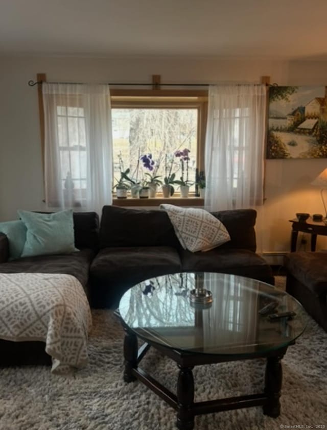 11 Arden Ave, New Fairfield, CT 06812 - view of living area
