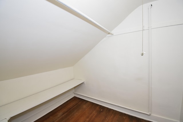 497 Commonwealth Ave, New Britain, CT 06053 - walk in closet featuring lofted ceiling and dark wood-style flooring