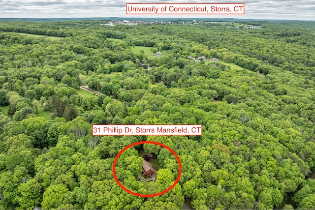 31 Philip Dr, Mansfield, CT 06268 - bird's eye view of a forest