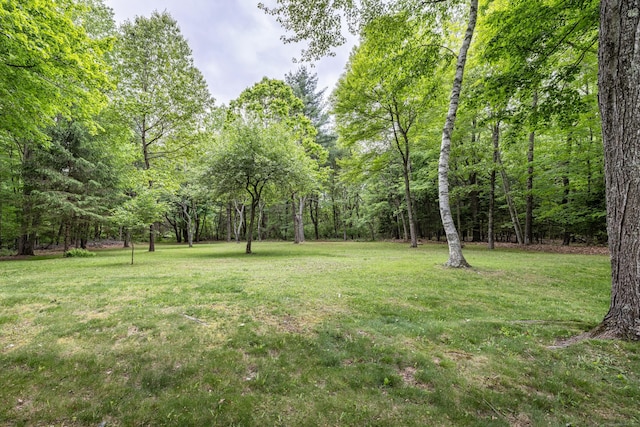 31 Philip Dr, Mansfield, CT 06268 - view of green lawn featuring a wooded view
