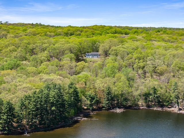24 Newtown Tpke, Redding, CT 06896 - bird's eye view of a heavily wooded area and a nearby body of water
