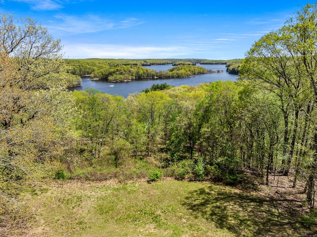 24 Newtown Tpke, Redding, CT 06896 - water view with a forest