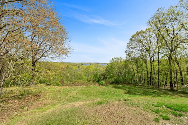 24 Newtown Tpke, Redding, CT 06896 - view of yard featuring a view of trees