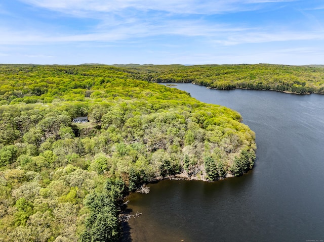 24 Newtown Tpke, Redding, CT 06896 - aerial view of a forest and a nearby body of water