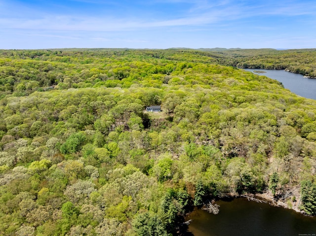 24 Newtown Tpke, Redding, CT 06896 - bird's eye view of a forest and a large body of water