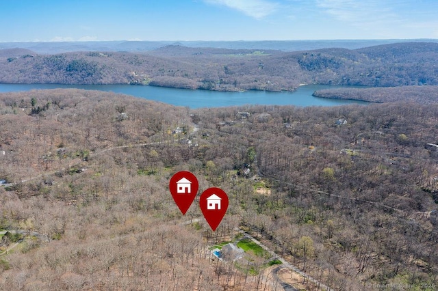 bird's eye view of a water and mountain view and a heavily wooded area