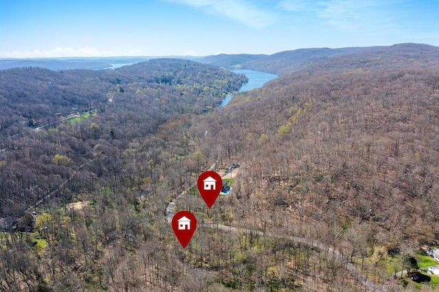 aerial overview of property's location with a forest and mountains