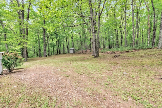 32 Old Bethel Rd, Newtown, CT 06470 - view of yard featuring a view of trees