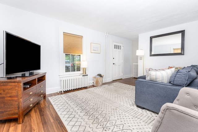 2 Middle Ln, Simsbury, CT 06070 - living area featuring radiator, dark wood-type flooring, and baseboards