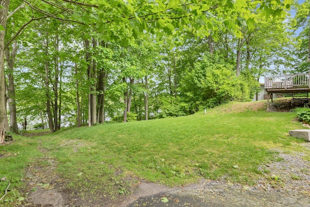 2 Lakeview Cir E, Lyme, CT 06357 - view of green lawn with a wooden deck