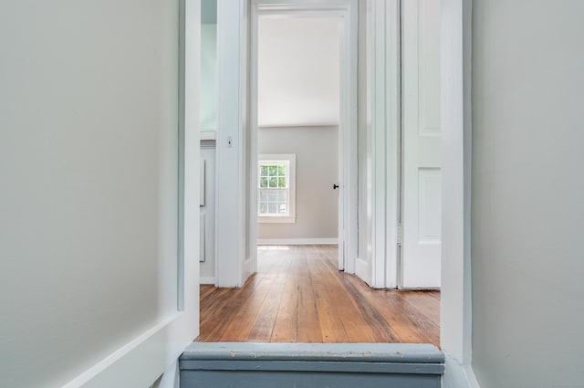 538 Scotland Rd, Norwich, CT 06360 - corridor featuring wood finished floors and baseboards