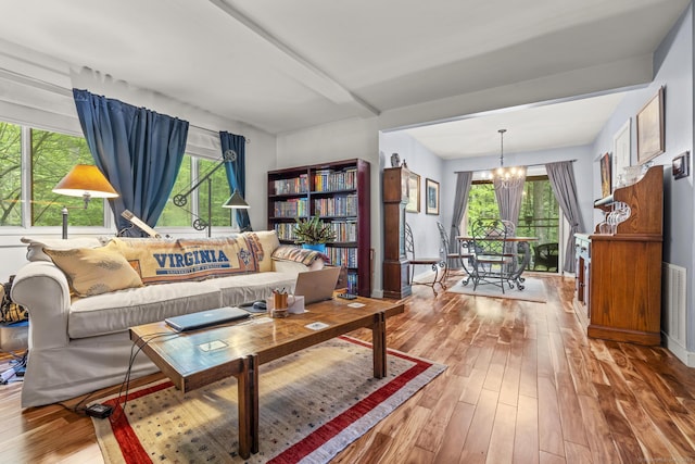 9 Lower Commons Unit 9, Woodbury, CT 06798 - living area with a chandelier, hardwood / wood-style flooring, and healthy amount of natural light