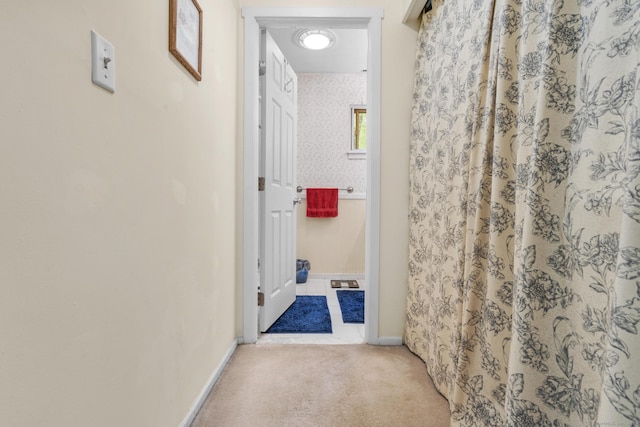 9 Lower Commons Unit 9, Woodbury, CT 06798 - hall featuring carpet and baseboards