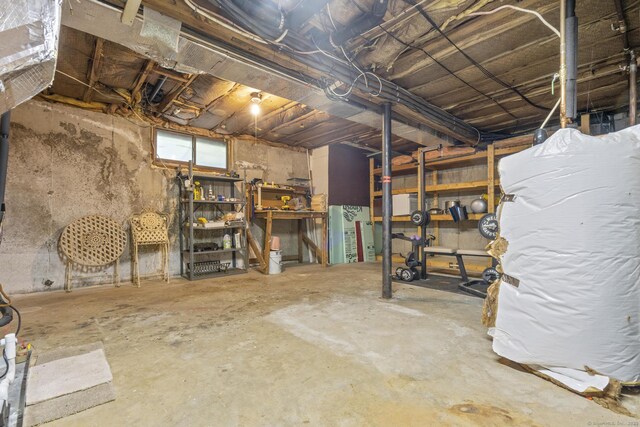 9 Lower Commons Unit 9, Woodbury, CT 06798 - view of below grade area