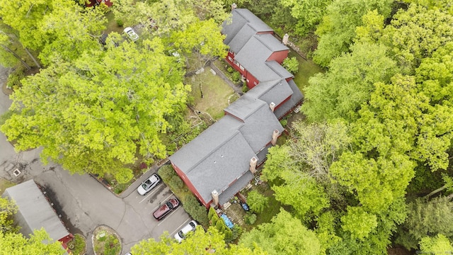 9 Lower Commons Unit 9, Woodbury, CT 06798 - aerial view
