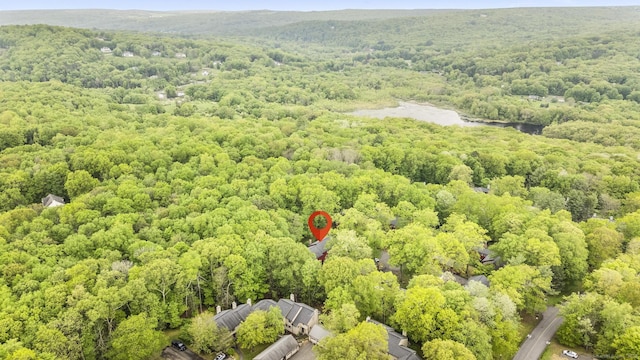 9 Lower Commons Unit 9, Woodbury, CT 06798 - drone / aerial view of a forest and a nearby body of water