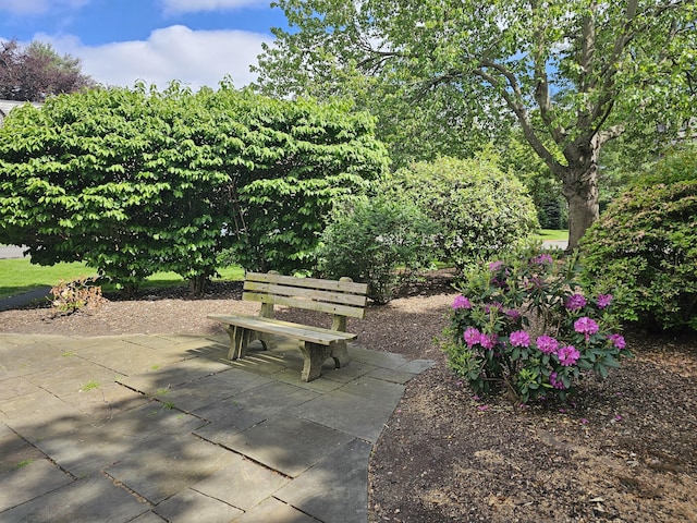 182 Fern St Apt 4, West Hartford, CT 06119 - view of patio
