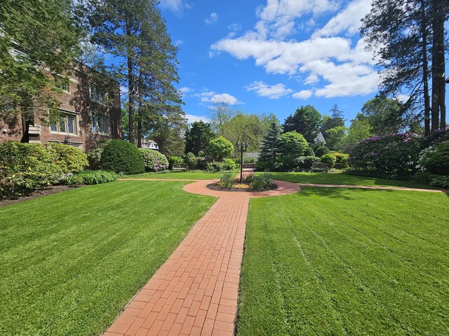 182 Fern St Apt 4, West Hartford, CT 06119 - view of green lawn