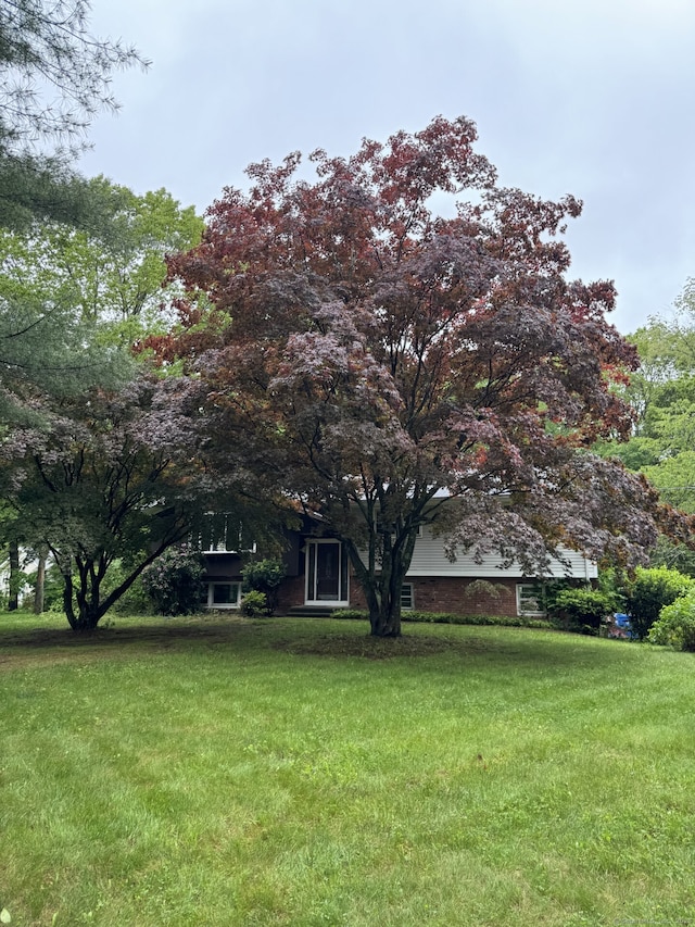 3 Abbey Ln, Shelton, CT 06484 - view of green lawn