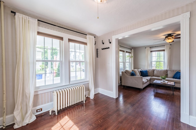 36 Whiton St, Windsor Locks, CT 06096 - living room with radiator heating unit, baseboards, dark wood-type flooring, and ceiling fan