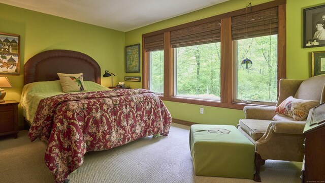 216 Al Harvey Rd, Stonington, CT 06378 - photo 29