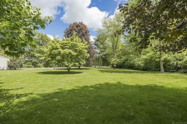 18 Grey Fox Trl, Woodbury, CT 06798 - view of grassy yard